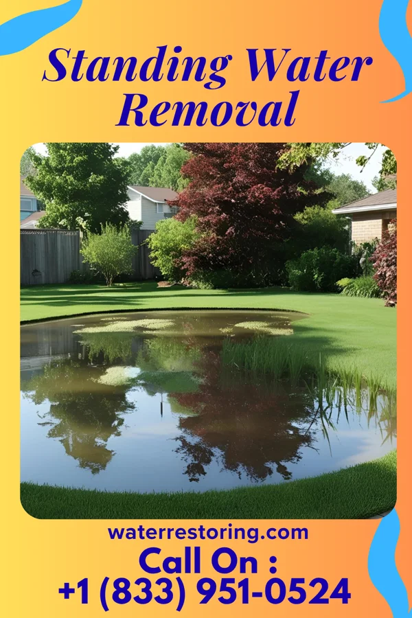 Standing Water Removal in Bruno, NE